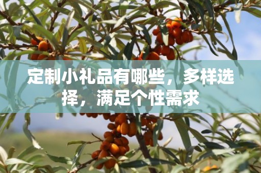 定制小礼品有哪些，多样选择，满足个性需求