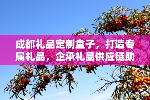 成都礼品定制盒子，打造专属礼品，企承礼品供应链助力商务往来