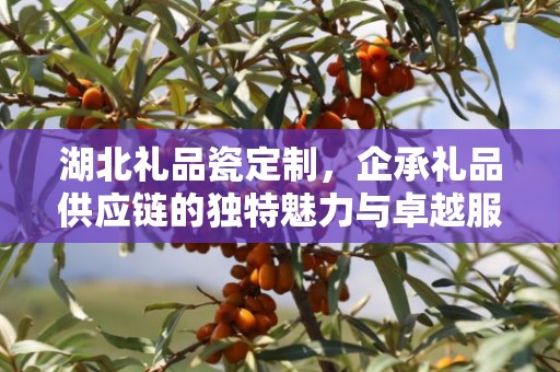 湖北礼品瓷定制，企承礼品供应链的独特魅力与卓越服务